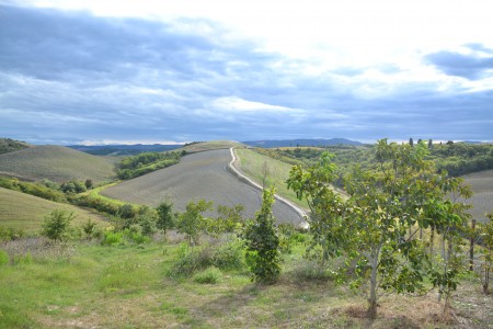 Landschap Toscane